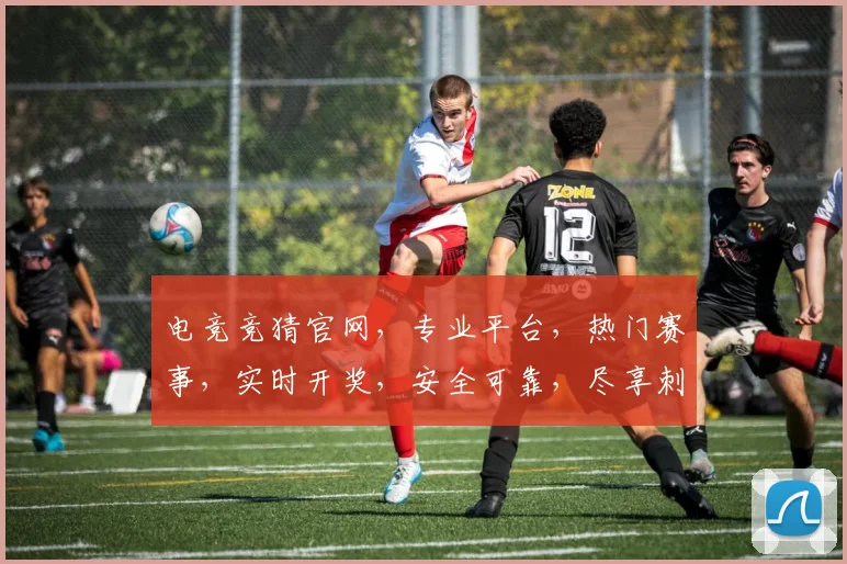电竞竞猜官网，专业平台，热门赛事，实时开奖，安全可靠，尽享刺激