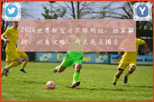 2026世界杯官方买球网址，独家解析，必看攻略，两大亮点揭示