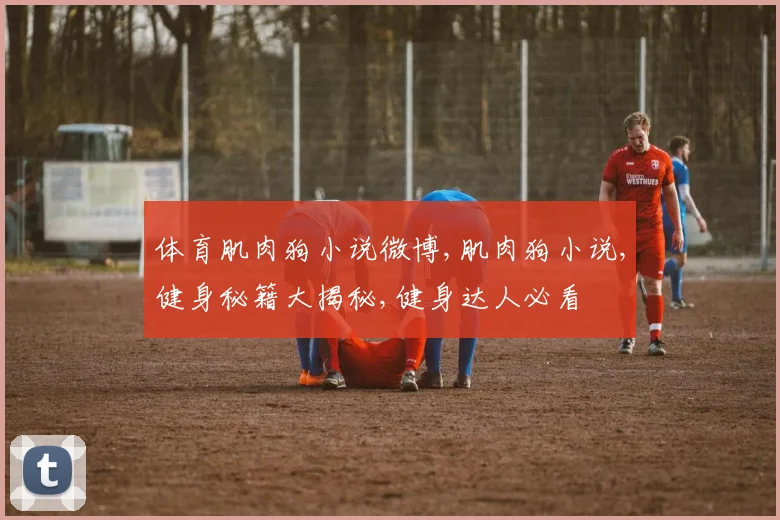 体育肌肉狗小说微博,肌肉狗小说,健身秘籍大揭秘,健身达人必看
