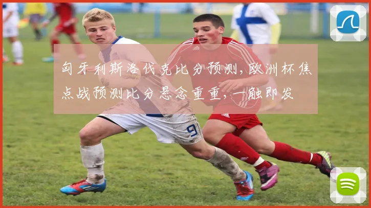 匈牙利斯洛伐克比分预测,欧洲杯焦点战预测比分悬念重重,一触即发