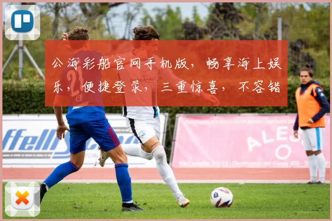 公海彩船官网手机版，畅享海上娱乐，便捷登录，三重惊喜，不容错过，立即体验